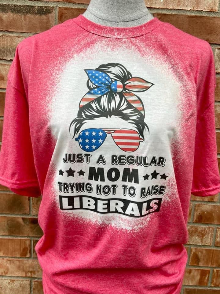 Regular mom trying not to raise liberals